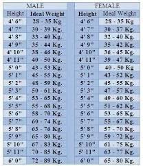 What Is The Normal Weight For 56 Height Girl Quora