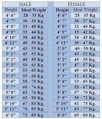 what is the normal weight for 56 height girl quora