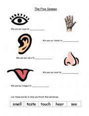 From touch to taste, all five senses are included and each print off on. English Worksheets The Five Senses