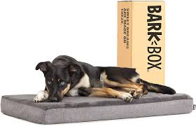 Read on to find out everything you need to know about how to choose the best dog bedding for indoors and outdoors! Best Dog Crate Beds Certapet Best