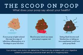 The Scoop On Poop What Does Your Poop Say About Your Health