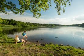 Eine geräumige gaststube und seeterasse laden zum verweilen und partie ein. Westerwalder Seenplatte Dreifelder Weiher Rundweg Wanderung Die