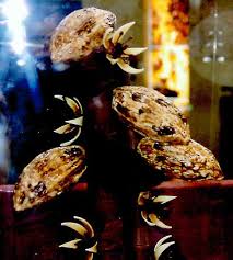 Cabosse Entierement En Chocolat Chocolat Artiste Grand Prix