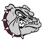 Morenci Area Bulldogs vs Bellevue Broncos