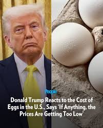 🔗: bit.ly/3RsUp5w Donald Trump has shared his most recent thoughts