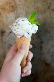 If you want to know more about cats and milk, keep reading! Mint Chocolate Chip Ice Cream Cook Craft Love