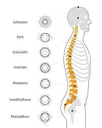Image result for chakras