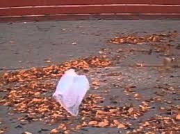 American Beauty Thomas Newman From The Plastic Bag Scene Poignant And Thoughtful American Beauty American Beauty Movie Movies
