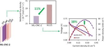 In this way, a passive. Improving The Performance Of Direct Methanol Fuel Cells By Implementing Multilayer Membranes Blended With Cellulose Nanocrystals Sciencedirect