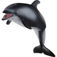Gambar ikan selamat datang di dunia gambar ikan. Jual Miniatur Hewan Mainan Binatang Tmc Ikan Lumba Lumba Dolphin Figure Di Lapak Ranie Olshop Bukalapak