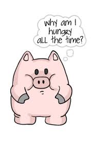 Pin By Emy On Cute Funny Pigs Cute Pigs Cute Piggies