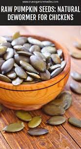 Raw Pumpkin Seeds Natural Dewormer For Chickens Raw Pumpkin Seeds Chickens Protein Benefits