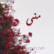 صور اسم منى اجمل الاشكال لصور اسم منى حلوه خيال