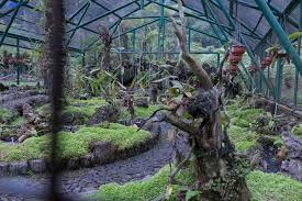 Maybe you would like to learn more about one of these? Cianjur Zona Kuning Ini 15 Tempat Wisata Yang Cocok Untuk Keluarga Halaman All Kompas Com