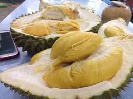 Rasa yang manis, ada sedikit pahit. Durian Udang Merah Denaihati