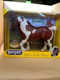 Image result for Thesium breyeri