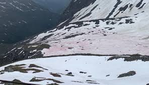 Heftiger wintereinbruch bringt rot gefärbten schnee nach deutschland. Blutschnee Auf Der Badener Hutte Algen Farben Den Schnee Derzeit Rosarot Osttirol Heute At