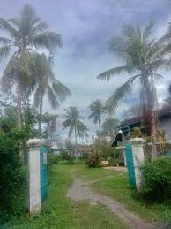 🏠🏠 ❤️ ដីទំហំធំ និងផ្ទះលក់ ដីទំហំ 4892 ម៉ែត្រការ៉េ (60mx 80m) ផ្ទះទំហំ 8m  x 16m ទីតាំង: ភូមិឬស្សីក្រោក ឃុំឬស្សីក្រោក ស្រុកមង្គលបូរី ខេត្ត ...