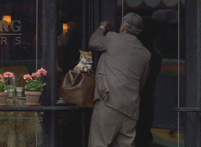 Men in Black (1997) - Cinema Cats