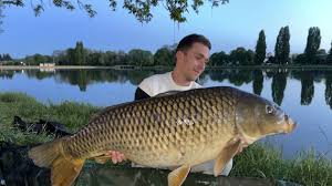 Carpe 25