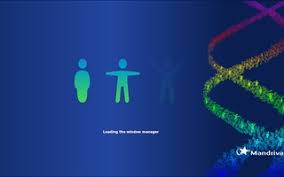 Image result for metisse mandriva