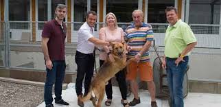 Wir suchen für layla ein ruhiges zuhause ohne kinder und ohne hunde, wo sie der geliebte mittelpunkt sein darf. Hund Katze Maus Viele Tiere Suchen Ein Neues Zuhause Nibelungen Kurier Die Zeitung Fur Worms Und Das Nibelungenland