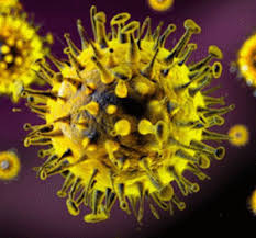 Cansino biologics, often abbreviated as cansinobio, is a chinese vaccine company. Sartorius Supports The Development Of The First Vaccine Candidate Against The Novel Coronavirus To Enter Clinical Trials