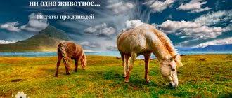 Демотиваторы демотиваторы со смыслом демотиваторы картинки. Motivaciya K Sportu Motiviruem Sebya Pravilno