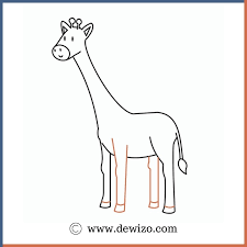 Décomposez la girafe en formes élémentaires. Comment Dessiner Une Girafe Apprendre A Dessiner Dewizo