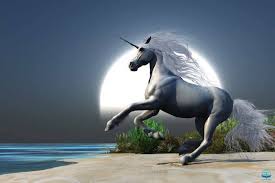 Image result for unicorn