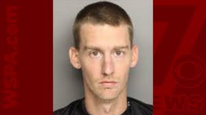 Greenville man gets 22 years for killing brother