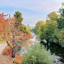 yulaptang 伦敦圣詹姆斯公园 st james park london 秋色如画 红树间疏黃 美哉 natural landmarks outdoor landmarks