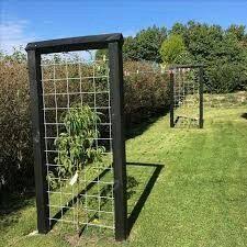 Etendoir Linge En 2020 Idee Amenagement Jardin Amenagement Jardin Etendoir Linge
