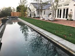 Their bites can result in a number of health impacts including skin rashes, psychological effects, and allergic symptoms. Pools