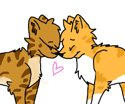He sees leafstar calling a clan meeting in the gorge. Leafstar And Firestar By Ownerof4dolls On Newgrounds