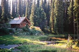 Maybe you would like to learn more about one of these? Cabin On Bridal Lake Near Creston British Columbia Mapio Net