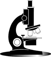 Microscope Clipart Microscope Transparent Free For Download On Webstockreview 2020 Multiple sizes and related images are all free on clker.com. webstockreview