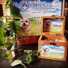 We follow the international association of pet cemeteries and crematories 'code of ethics and standards'. Atienza Pet Crematorium Home Facebook