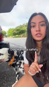 My dog slipped out of his harness two weeks ago and a few of you suggested  this method so I thought I’d share as this saved me buying a whole new  harness! 🥲 @Strange Tails