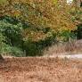 Severe Drought in France Leaves Nearly 70% of Country Under Water Restrictions