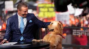 Where is 'College GameDay' this week? Location, schedule, guest picker for Week 14