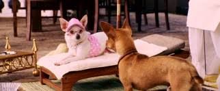 We won't share this comment without your permission. Beverly Hills Chihuahua Dvd Review
