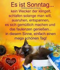 Dekoratix Com Guten Morgen Schatz Sonntagsgrusse Bilder Guten Morgen Lustig