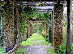Alibaba.com offers 7,233 trellis styles products. 35 Spanish Style Gardens And Patios Ideas Spanish Style Patios Spanish Style Garden