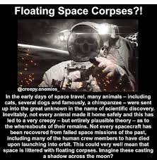 Corpse In Space Astronomy Facts Space And Astronomy Unbelievable Facts