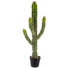 Diy how to make a paper mache dog clown cartoon crafts step by step. Potted Cactus Hobby Lobby 1723717