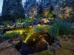 1″ of fish per 10 gallons of water. How Many Koi Should You Have In Your Pond Per Gallon
