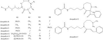 Image result for Oncinotis tenuiloba