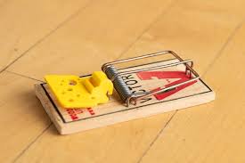 How to set a mousetrap step by step. The Best Mousetrap Reviews By Wirecutter