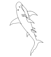 Dive into the underwater world of these predatory fish in coloring pages with cute baby sharks. Top 20 Shark Coloring Pages For Your Little Ones